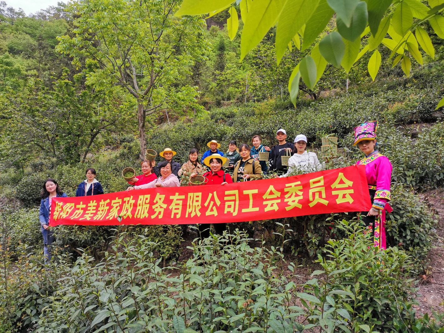 &#31859;&#20848;&#32593;&#39029;&#29256;&#45;&#31859;&#20848;&#40;&#20013;&#22269;&#41;